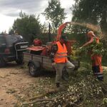 Денис:  Аренда измельчителя веток и деревьев, Талдомский район.