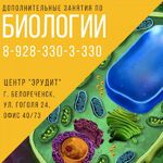 Центр развития 