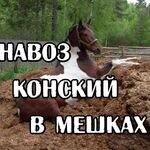 Николай:  Навоз Курск 