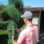 Олег:  Услуги садовника