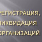 Армине Владимировна:  Регистрация ООО, ИП, НКО