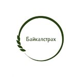 Станислав:  ОSАGО + диагностическая карта