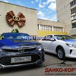 Свадебный кортеж VLG :  Декор для авто кортежа коллекция лето-осень 2019 