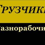 Виктор:  Грузоперевозки по городу. Переезды. Грузчики