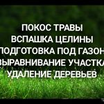 Павел:  Покос травы,Вспашка целины,Выравнивание,Корчевание пней