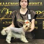 Юлия:  стрижка собак на дому