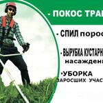 ДЕНИС:  ☆☆☆УБОРКА УЧАСТКОВ ОТ ДЕРЕВЬЕВ ТРАВЫ ПОРОСЛИ ☆☆☆