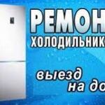 Андрей:  Ремонт холодильников на дому