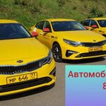 Алёна:  Аренда  Kia Optima