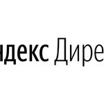 Александр:  Настройка рекламной компании Яндекс.Директ.