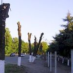 ООО ИМПЕРИЯ:  Спил деревьев в Перми и области