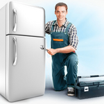 Егор:  Ремонт холодильников и стиральных машин