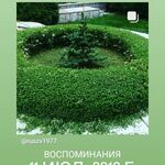 Руслан Викторов:  Садовник , агроном по защите растен