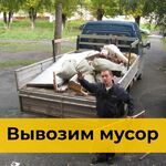 Мусоркин:  Вывоз мусора в Краснодаре недорого