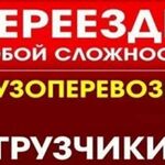 Алексей:  Профессиональные грузчики, переезды, разгрузки