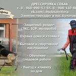 Марина:  Дрессировка собак в Омске