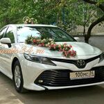 Свадебный кортеж VLG :  100 машин на свадьбу Волгограде украшения для авто кортежа 