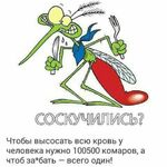 Евродизайн:  Замена уплотнителя , ремонт окон, фурнитура, регулировка, стеклопакеты. 