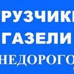 Владимир :  Услуги профессиональных грузчиков в Москве.