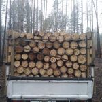 Максим:  Продаю сухие дрова не гарь!!! 