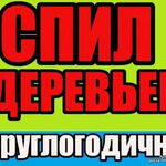 Михаил :  Спил деревьев 