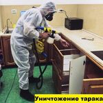 ТотальнаяЧистка:  Уничтожение тараканов