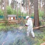 Сергей:  Сезонная уборка участка от листвы и веток в Балашихе