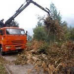 Олег:  Аренда ломовоза вывоз мусора 