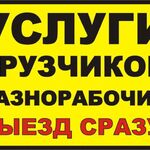 Владимир SUPER ГРУЗЧИК:  Грузчики недорого в Долгопрудном. 