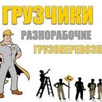 Александр:  Грузчики-разнорабочие-землекопы