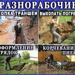 Водитель Анатолий:  Услуги Разнорабочих Уборка территории  в Омске и области