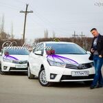Андрей:  Аренда свадебных машин в Волгограде от компании 