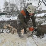 Александр:  Валка, рубка, обрезка и удаление деревьев в Дмитрове