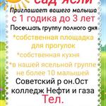 Юлия:  Частный детский сад 