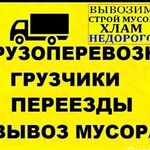 Евгений Ужинцев:  грузоперевозки, газель, такелаж+грузчики