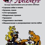 Марина:  Стрижка собак и кошек в Орехово-Зуево