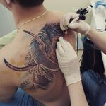 tattoo-angel:  Татуировки, пирсинг, бодимодификация от Студии тату Ангел