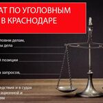 Михаил Олегович:  Адвокат по уголовным делам 