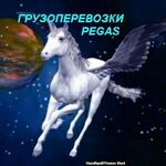 Владимир Алексеевич:  грузчики PEGAS