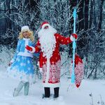 Шум Гам:  Дед Мороз и Снегурочка на дом