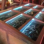 Влад:  Торговые аквариумы для морепродуктов и живой рыбы и раков