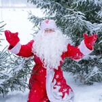 Тамада Алина:  Дед Мороз и Снегурочка