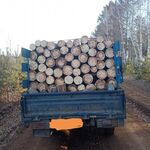 Дмитрий:  Продаю дрова