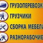 Дмитрий:  Грузоперевозки в Братске.  Грузчики.  Переезды. Вывоз мусора