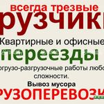 Максим:  Грузоперевозки,грузчики