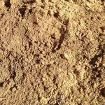 Игорь:  Грунт на подсыпку, чернозём плодородный