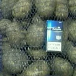 Алексей:  Продаю картофель желтый