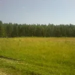 ЛЮБОВЬ:  Пансионат для пожилых людей,услуги сиделки