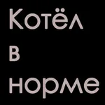 Егор:  Ремонт котлов и систем отопления