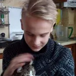 Татьяна:  Передержка кошек